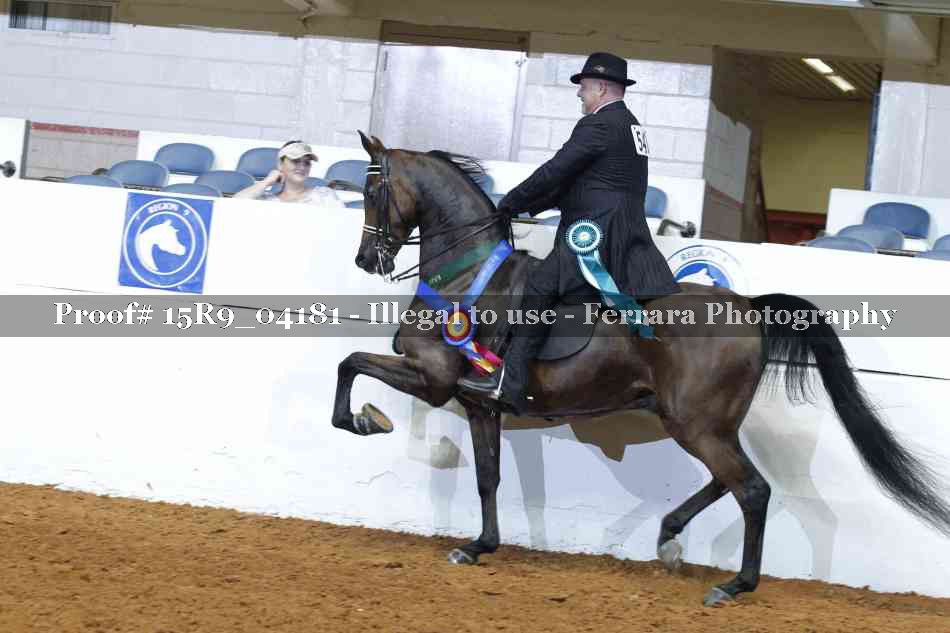 Proof Number 15R9_04181