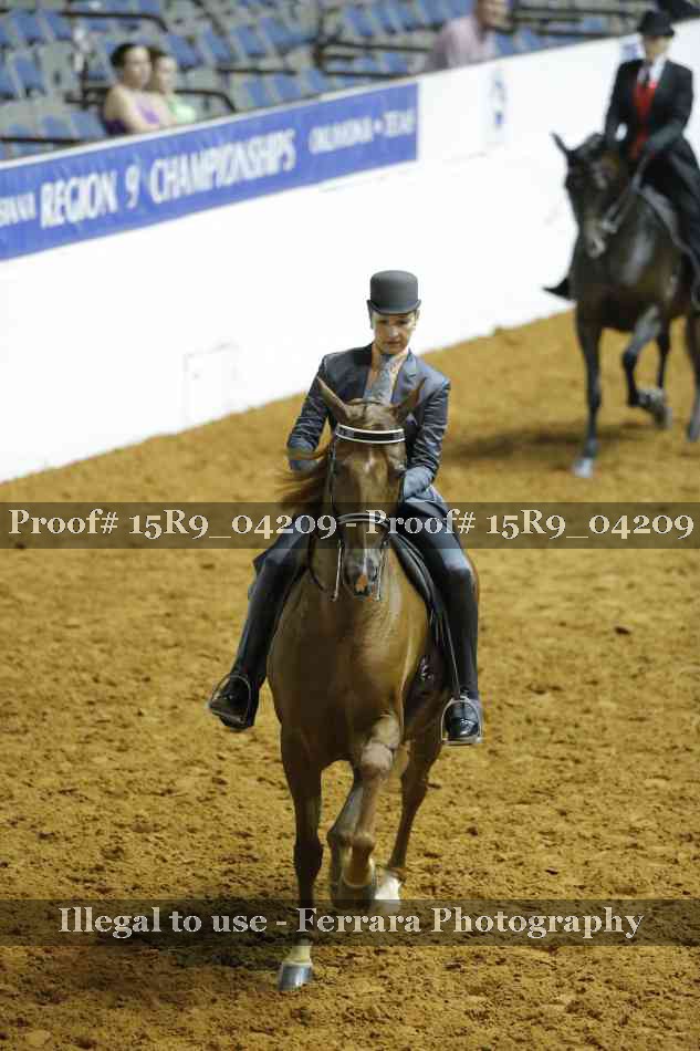 Proof Number 15R9_04209