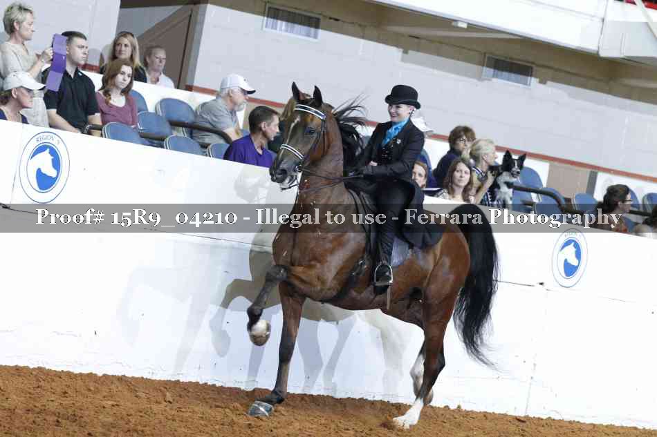 Proof Number 15R9_04210