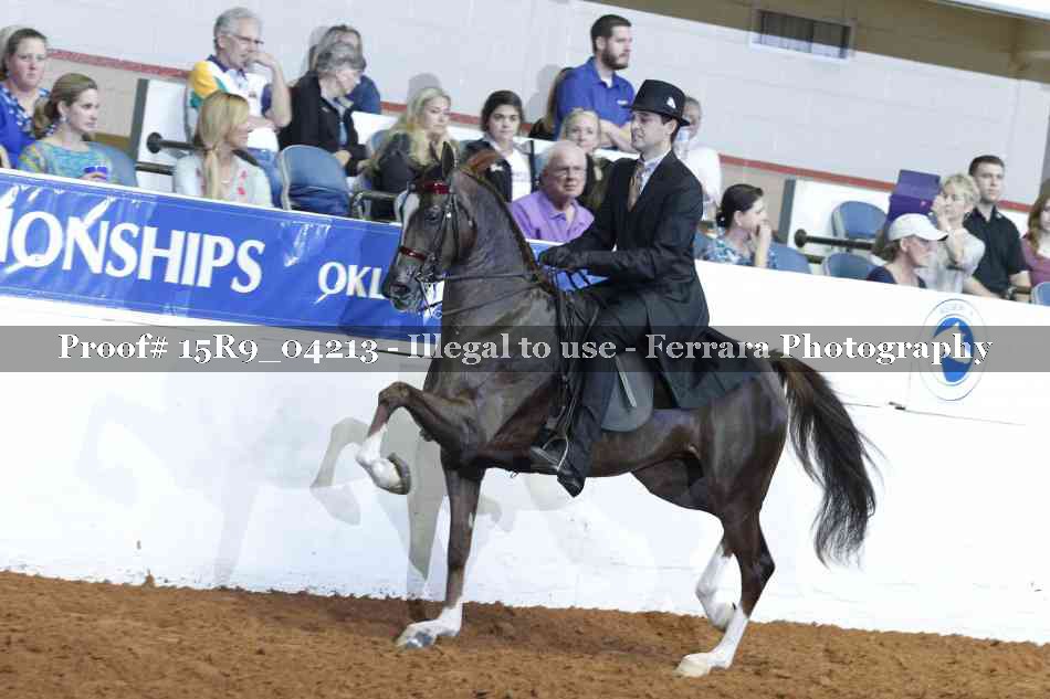 Proof Number 15R9_04213