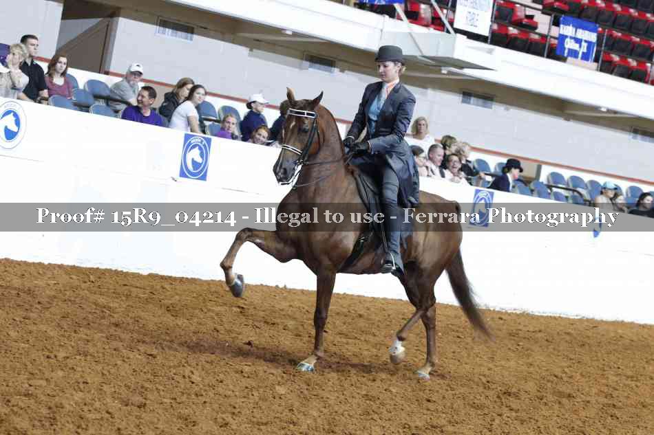 Proof Number 15R9_04214