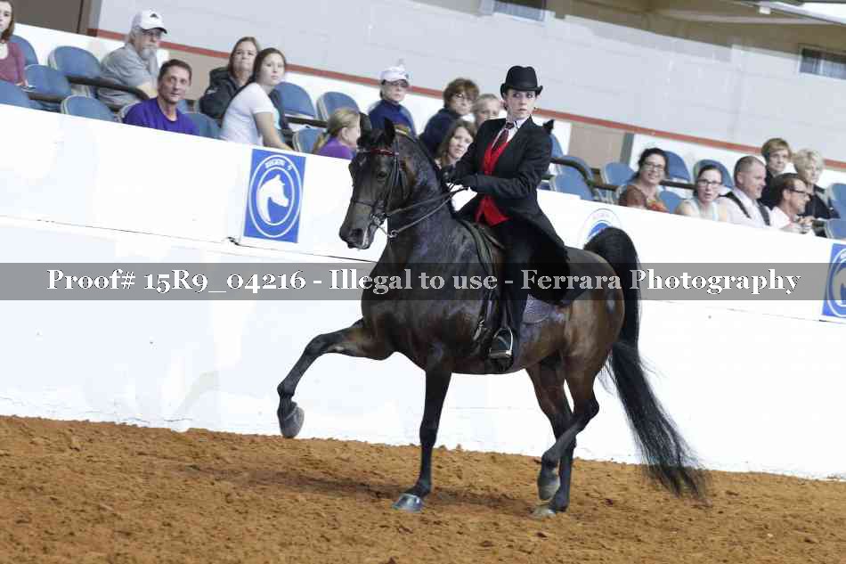 Proof Number 15R9_04216