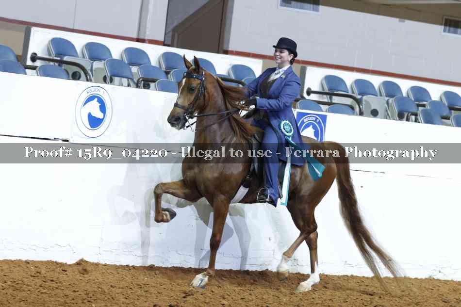 Proof Number 15R9_04220