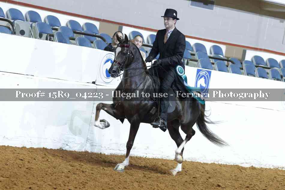 Proof Number 15R9_04223