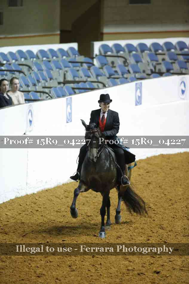 Proof Number 15R9_04227