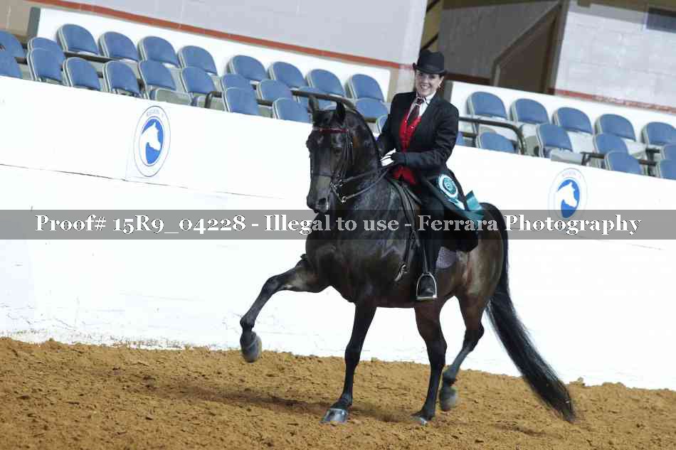 Proof Number 15R9_04228