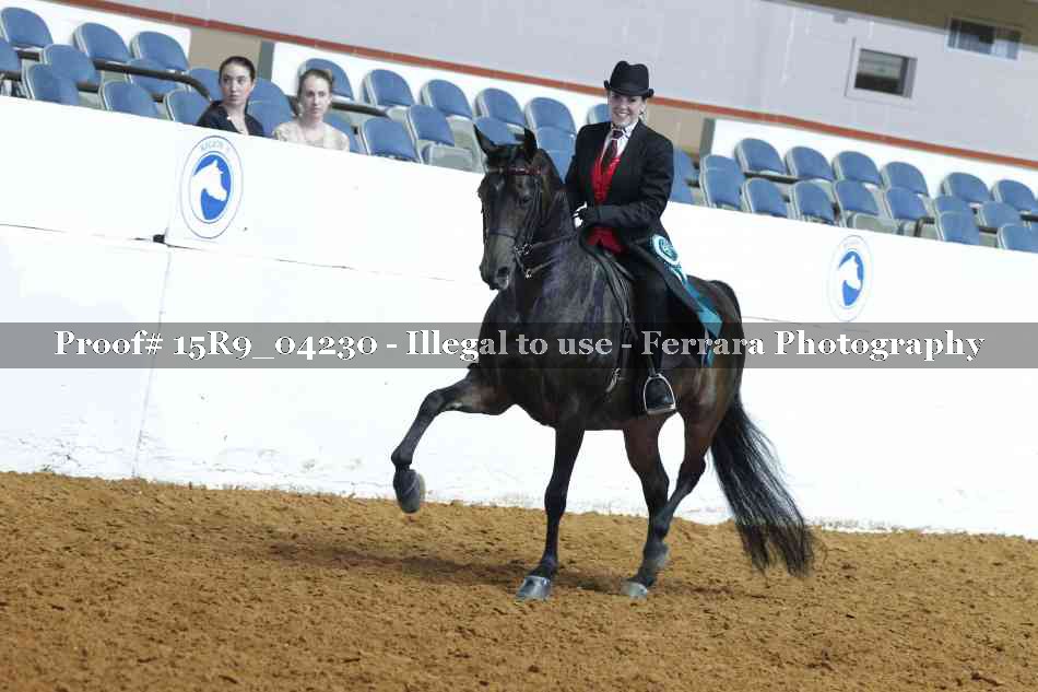 Proof Number 15R9_04230