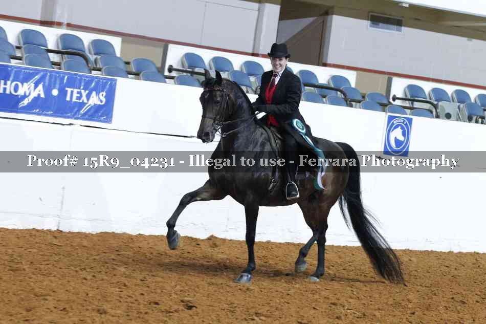 Proof Number 15R9_04231