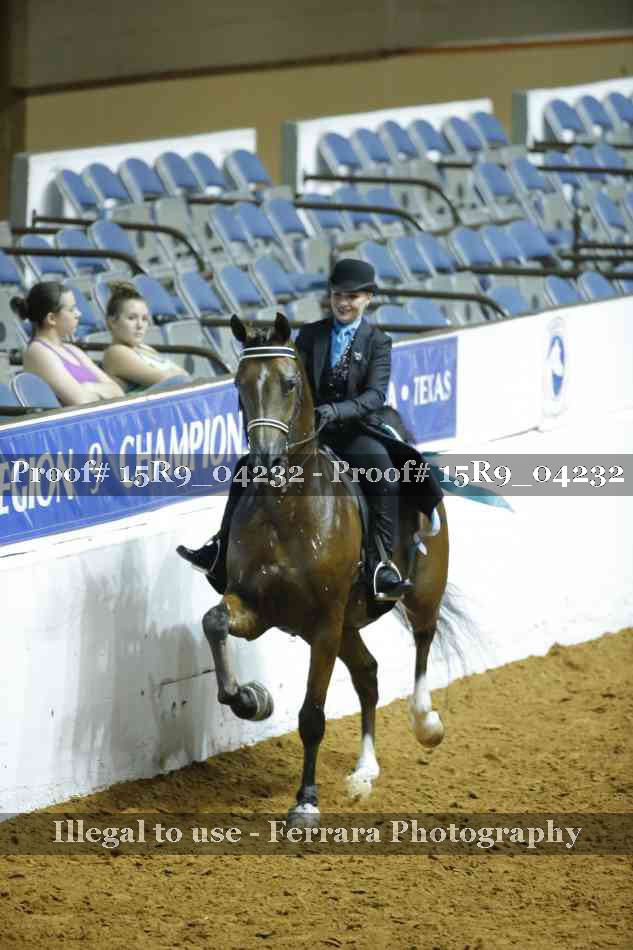 Proof Number 15R9_04232