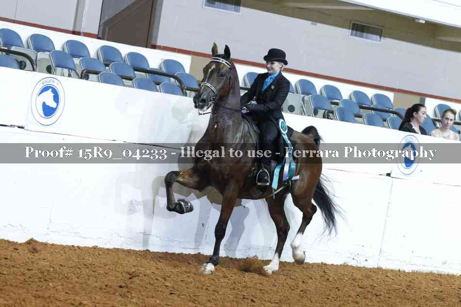 Proof Number 15R9_04233