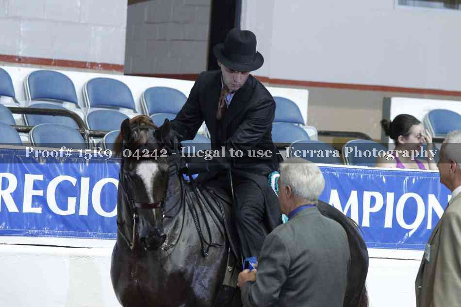 Proof Number 15R9_04242
