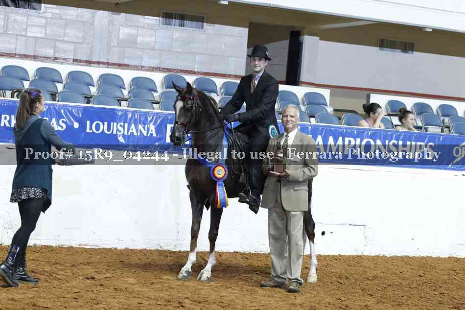 Proof Number 15R9_04244