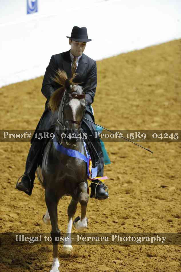 Proof Number 15R9_04245