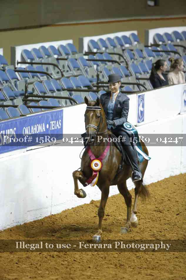 Proof Number 15R9_04247