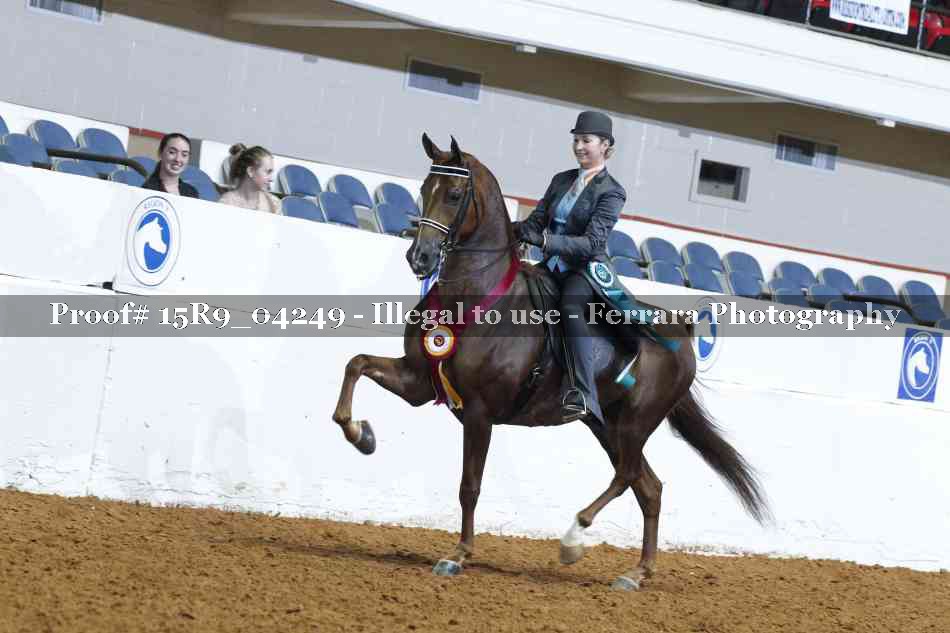 Proof Number 15R9_04249