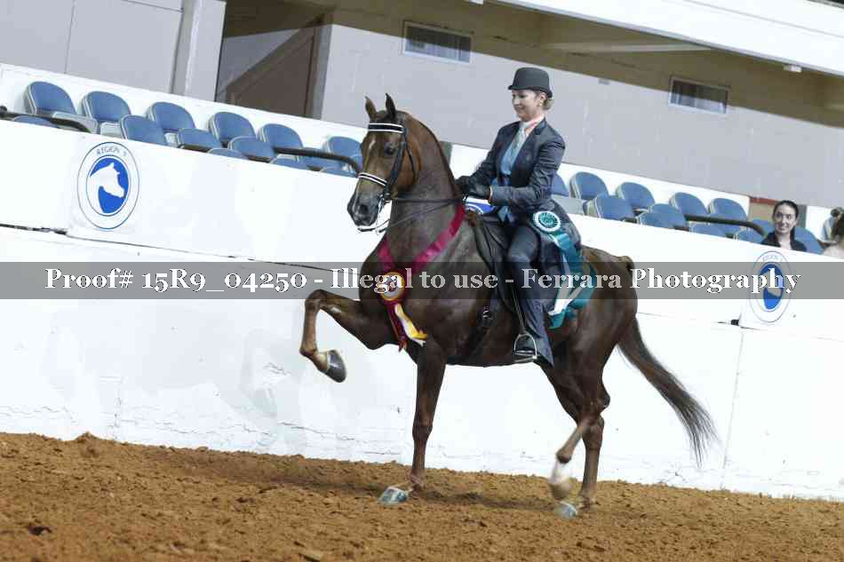Proof Number 15R9_04250