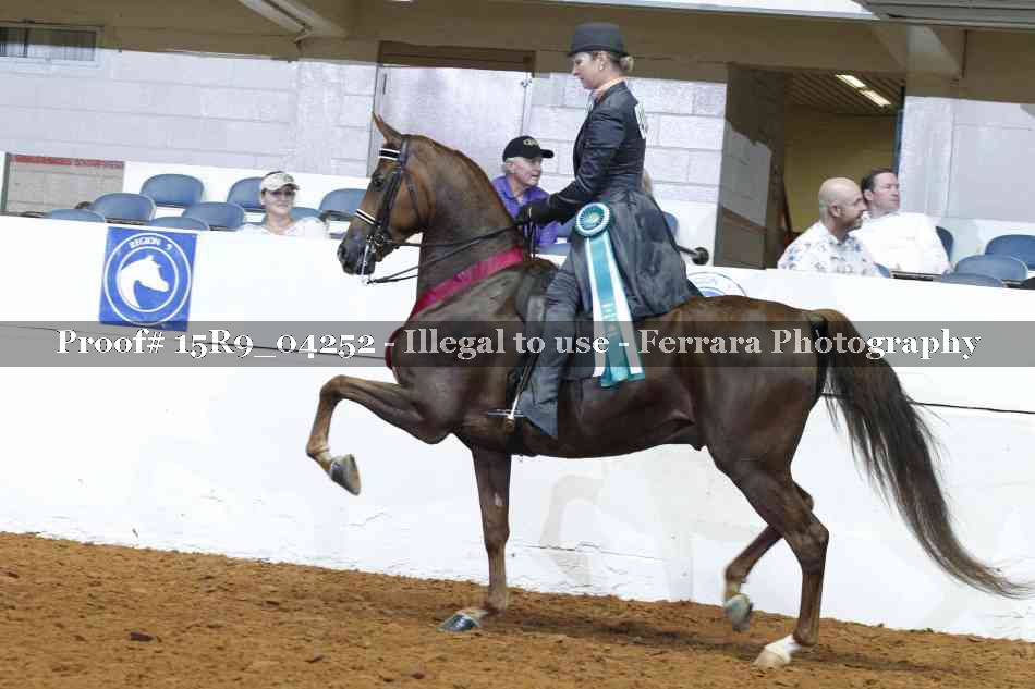 Proof Number 15R9_04252