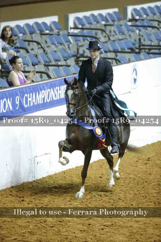 Proof Number 15R9_04254
