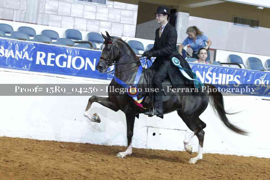 Proof Number 15R9_04256
