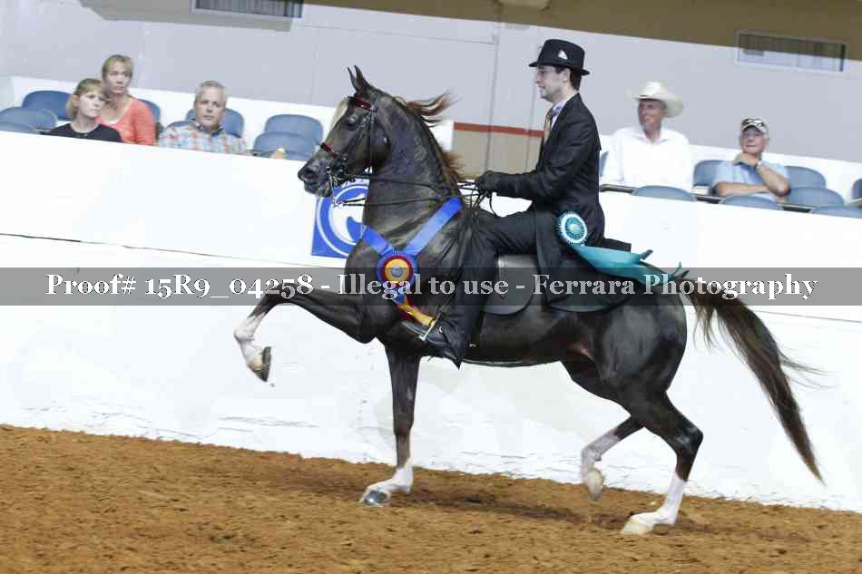 Proof Number 15R9_04258