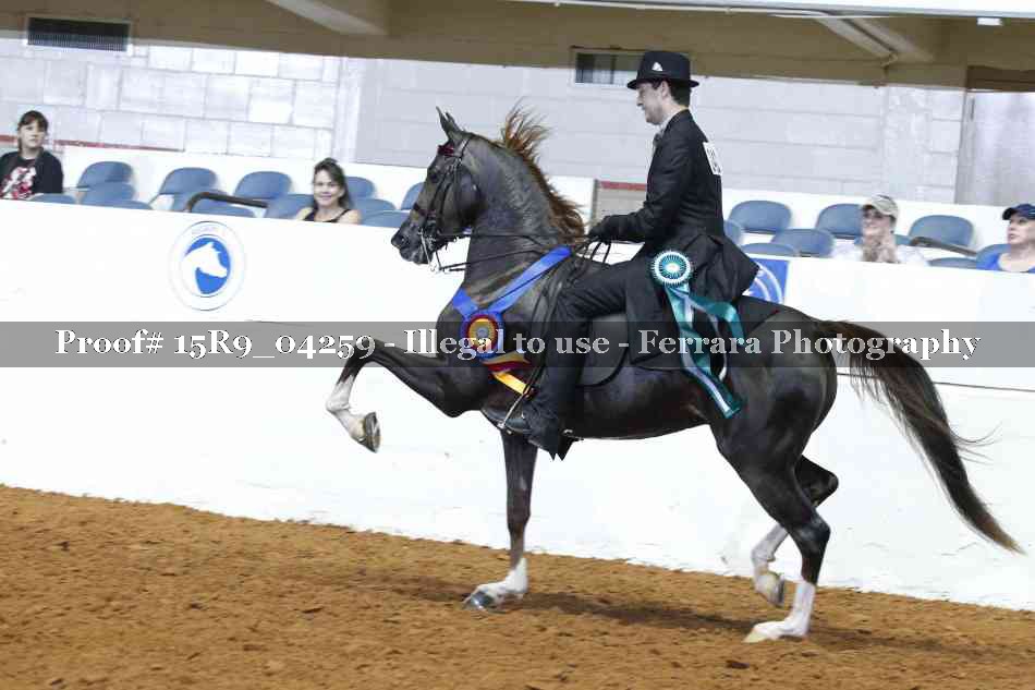 Proof Number 15R9_04259