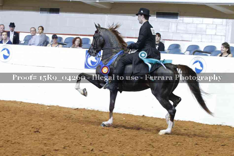 Proof Number 15R9_04260
