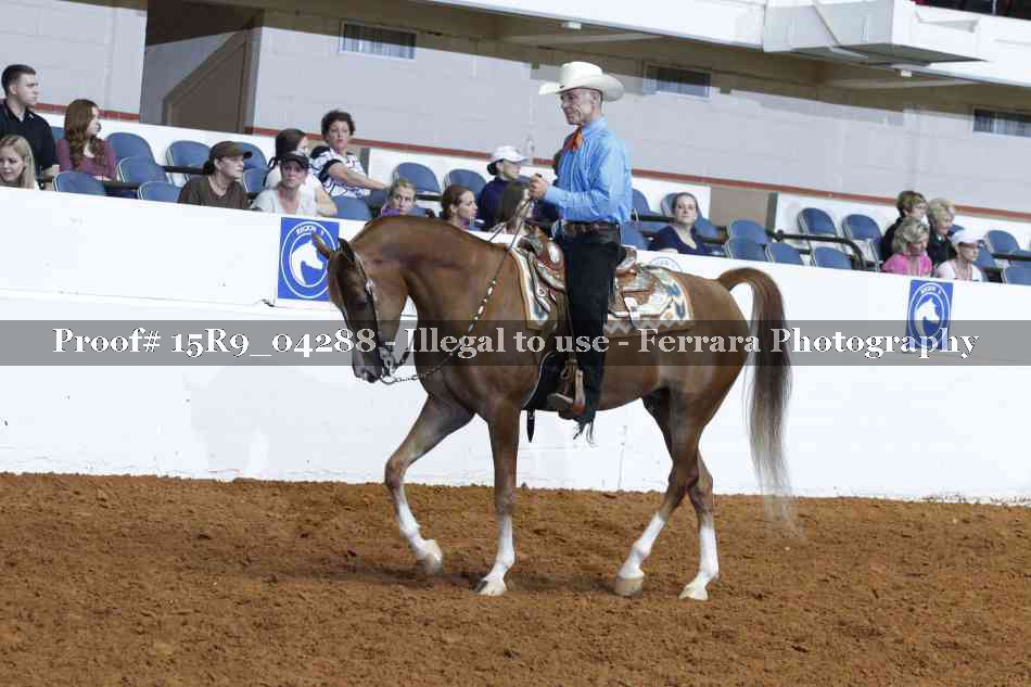 Proof Number 15R9_04288