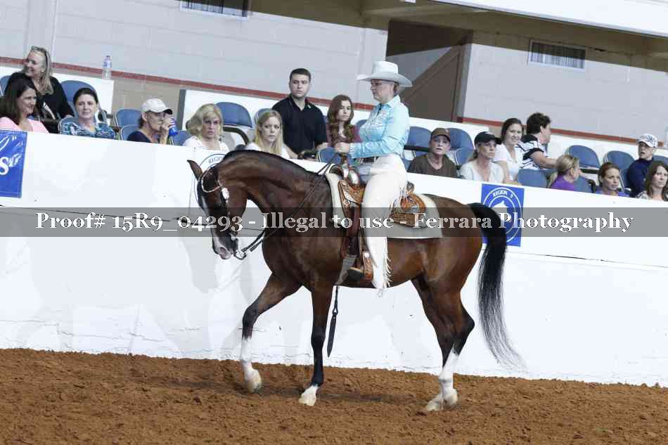 Proof Number 15R9_04293
