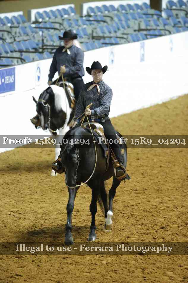 Proof Number 15R9_04294