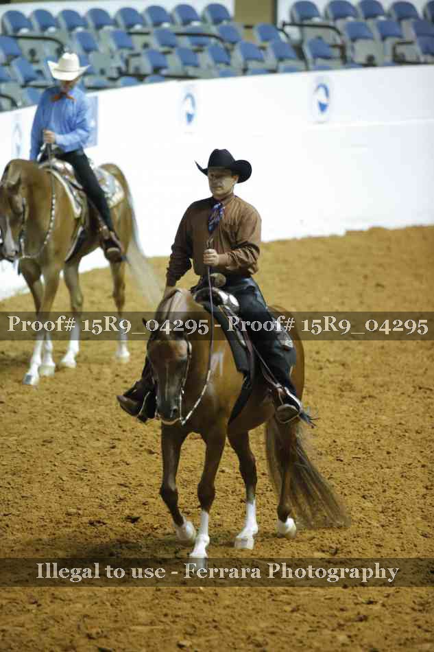 Proof Number 15R9_04295
