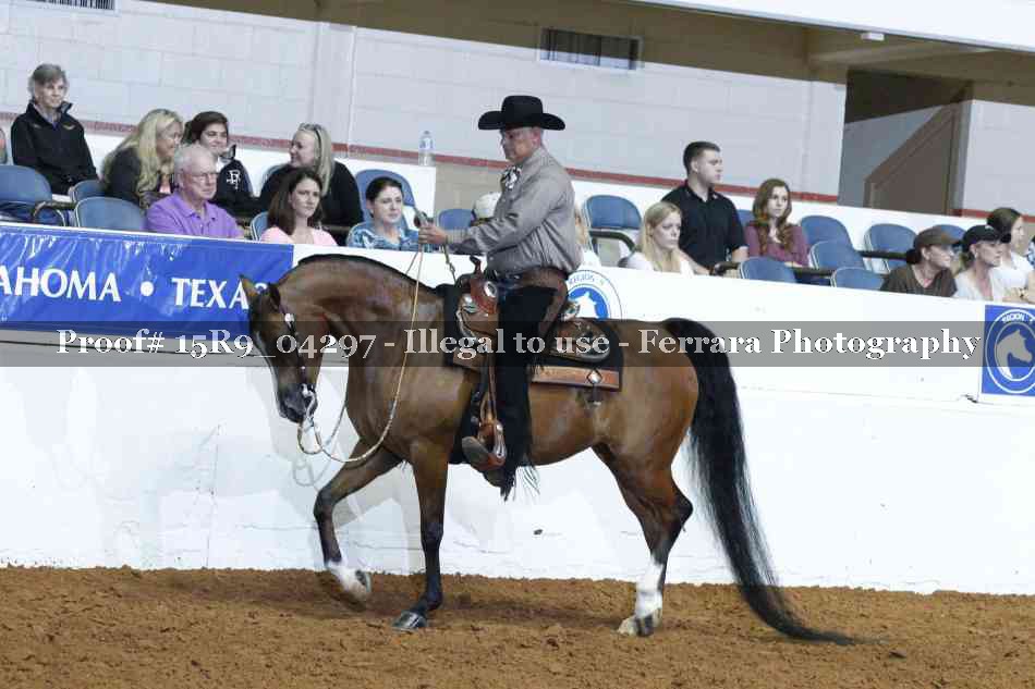 Proof Number 15R9_04297