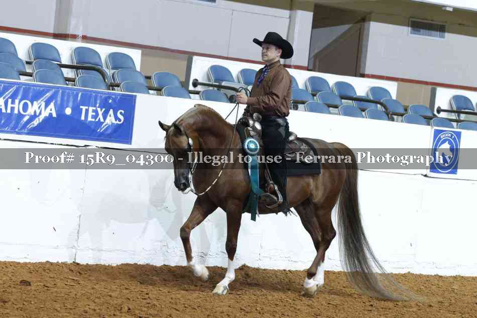 Proof Number 15R9_04300