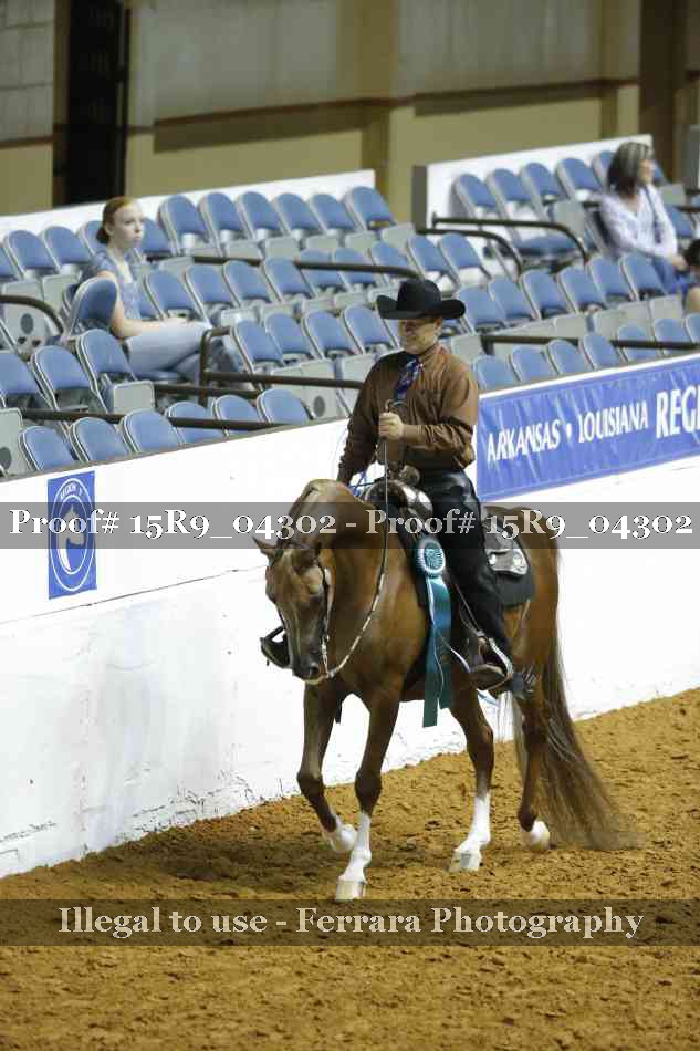 Proof Number 15R9_04302
