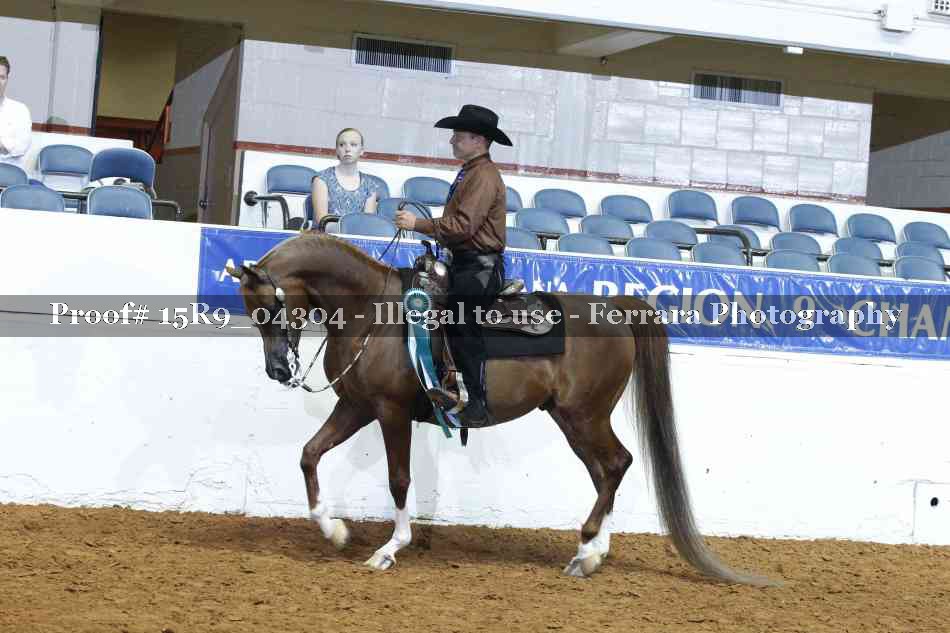 Proof Number 15R9_04304