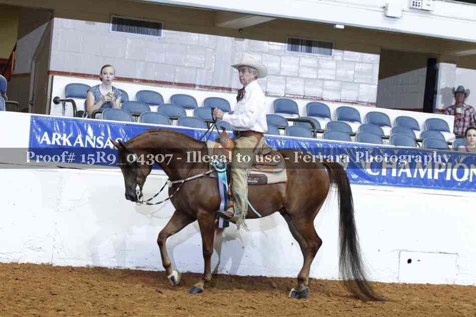 Proof Number 15R9_04307
