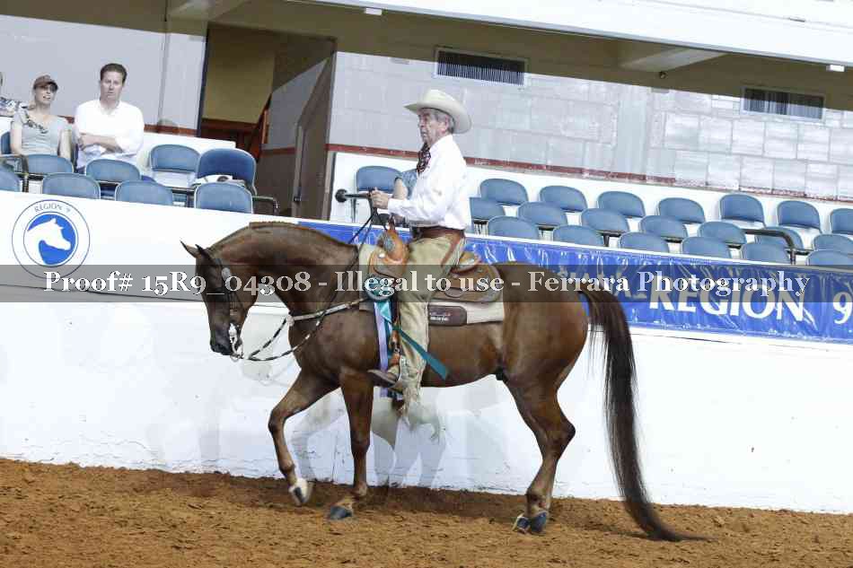 Proof Number 15R9_04308