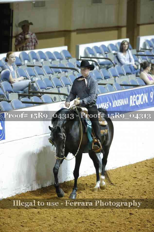 Proof Number 15R9_04313