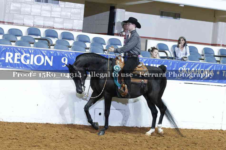 Proof Number 15R9_04314