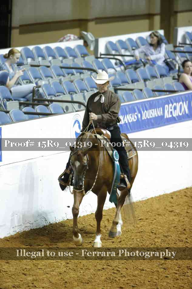 Proof Number 15R9_04319