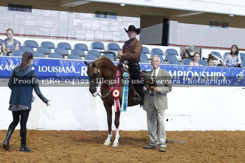 Proof Number 15R9_04322