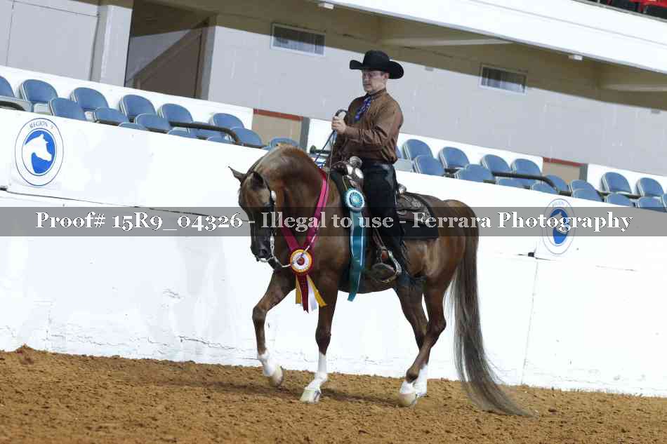 Proof Number 15R9_04326