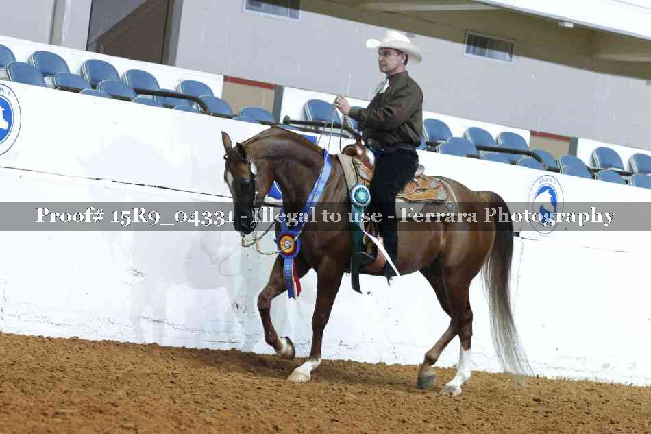 Proof Number 15R9_04331