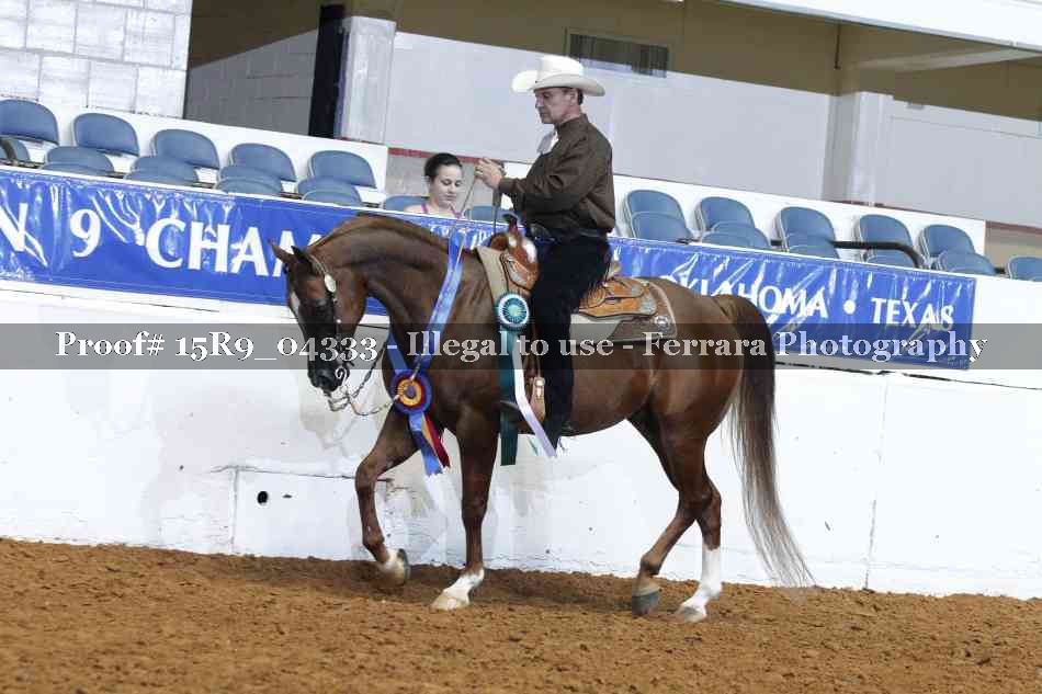 Proof Number 15R9_04333