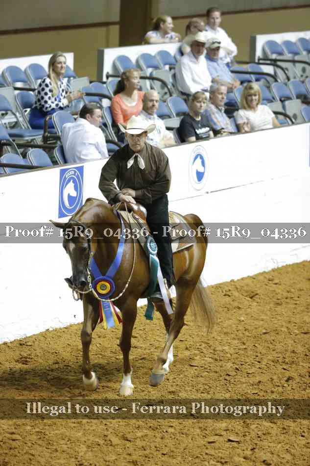 Proof Number 15R9_04336