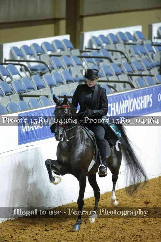 Proof Number 15R9_04364