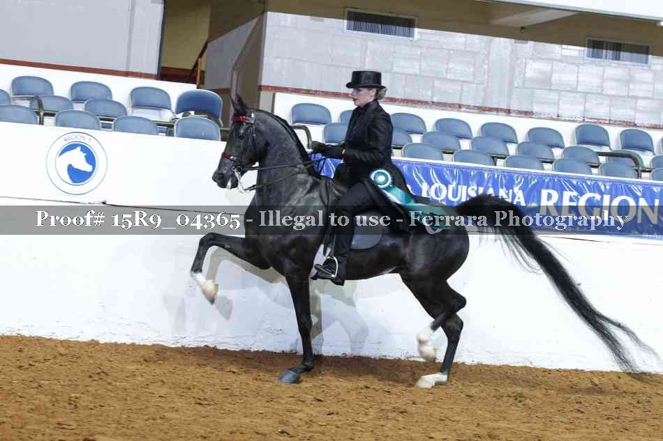 Proof Number 15R9_04365