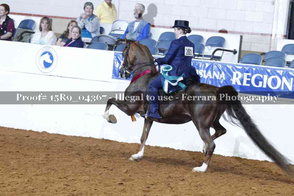 Proof Number 15R9_04367
