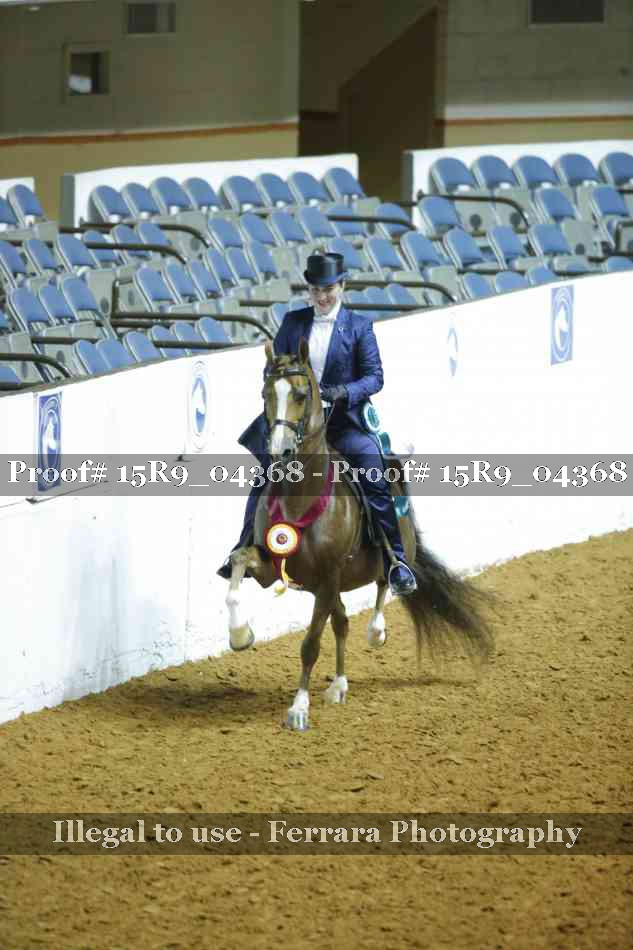 Proof Number 15R9_04368