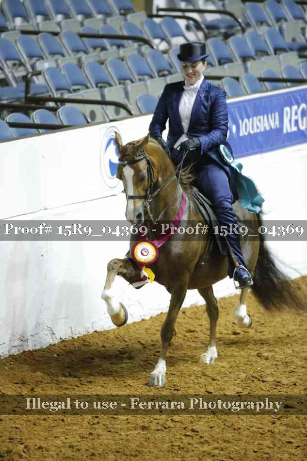 Proof Number 15R9_04369