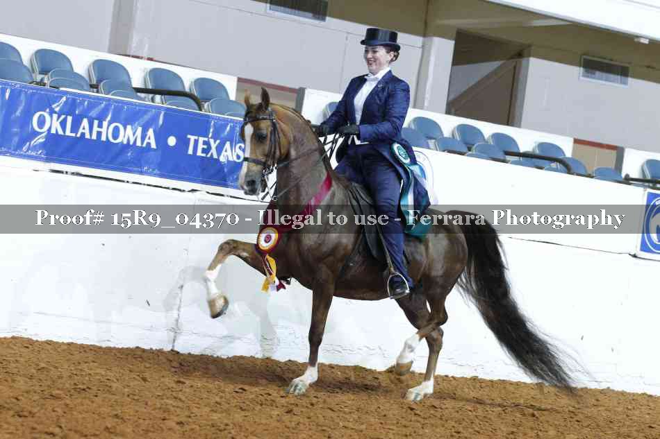 Proof Number 15R9_04370